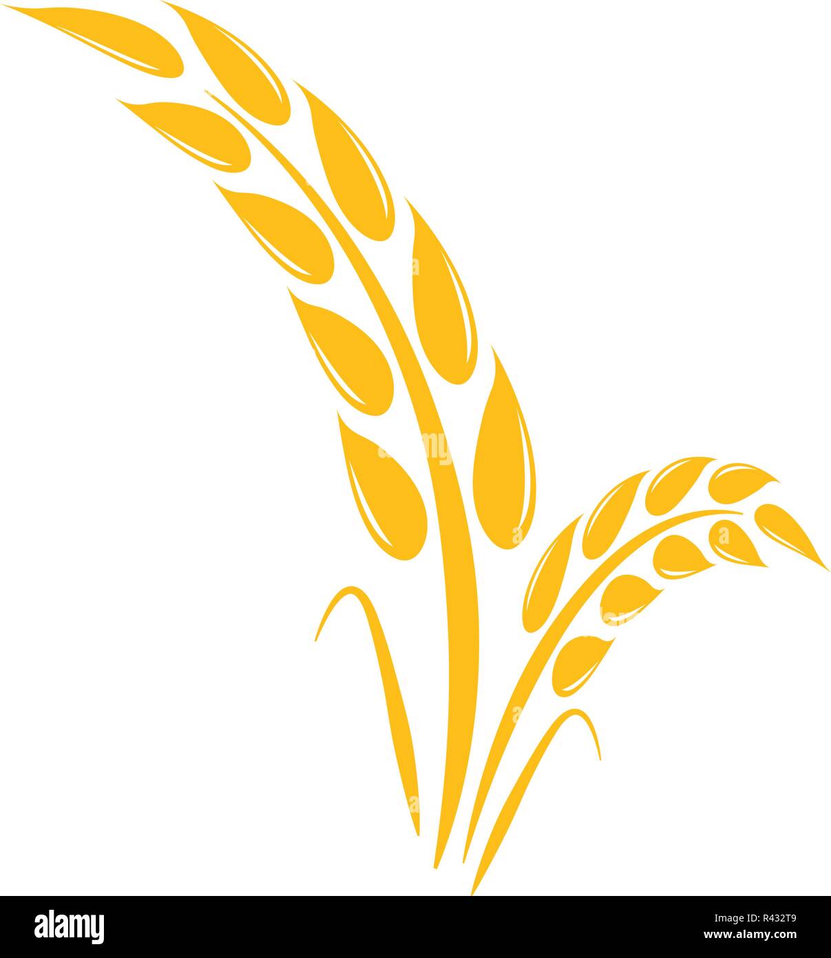 Wheat agriculture graphic design template vector Stock Vector Image ...