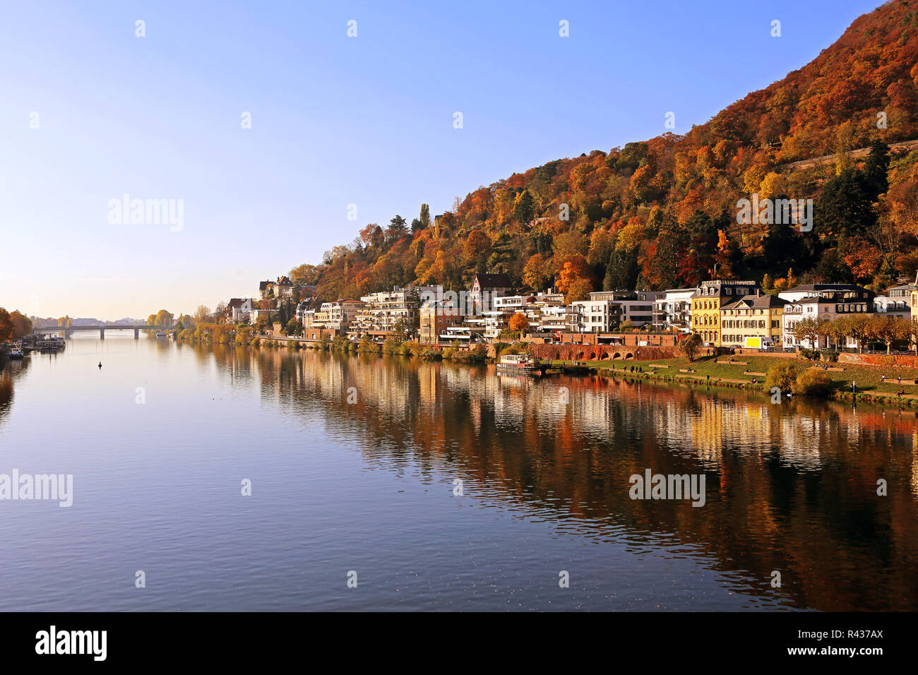 the right bank of the neckar in heidelberg Stock Photo