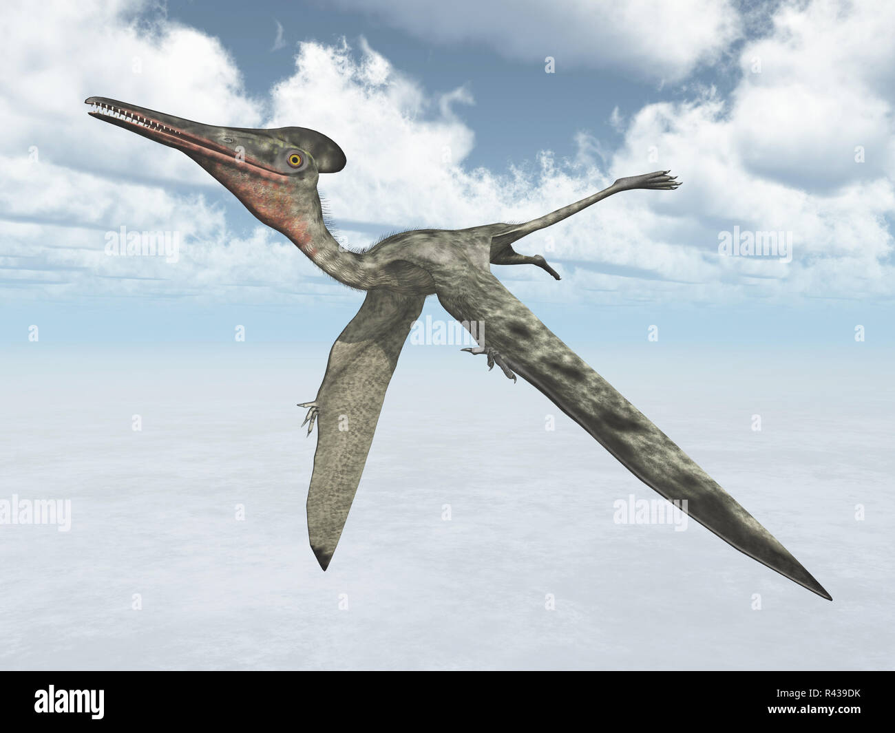 pterodactyl pterodactyl Stock Photo