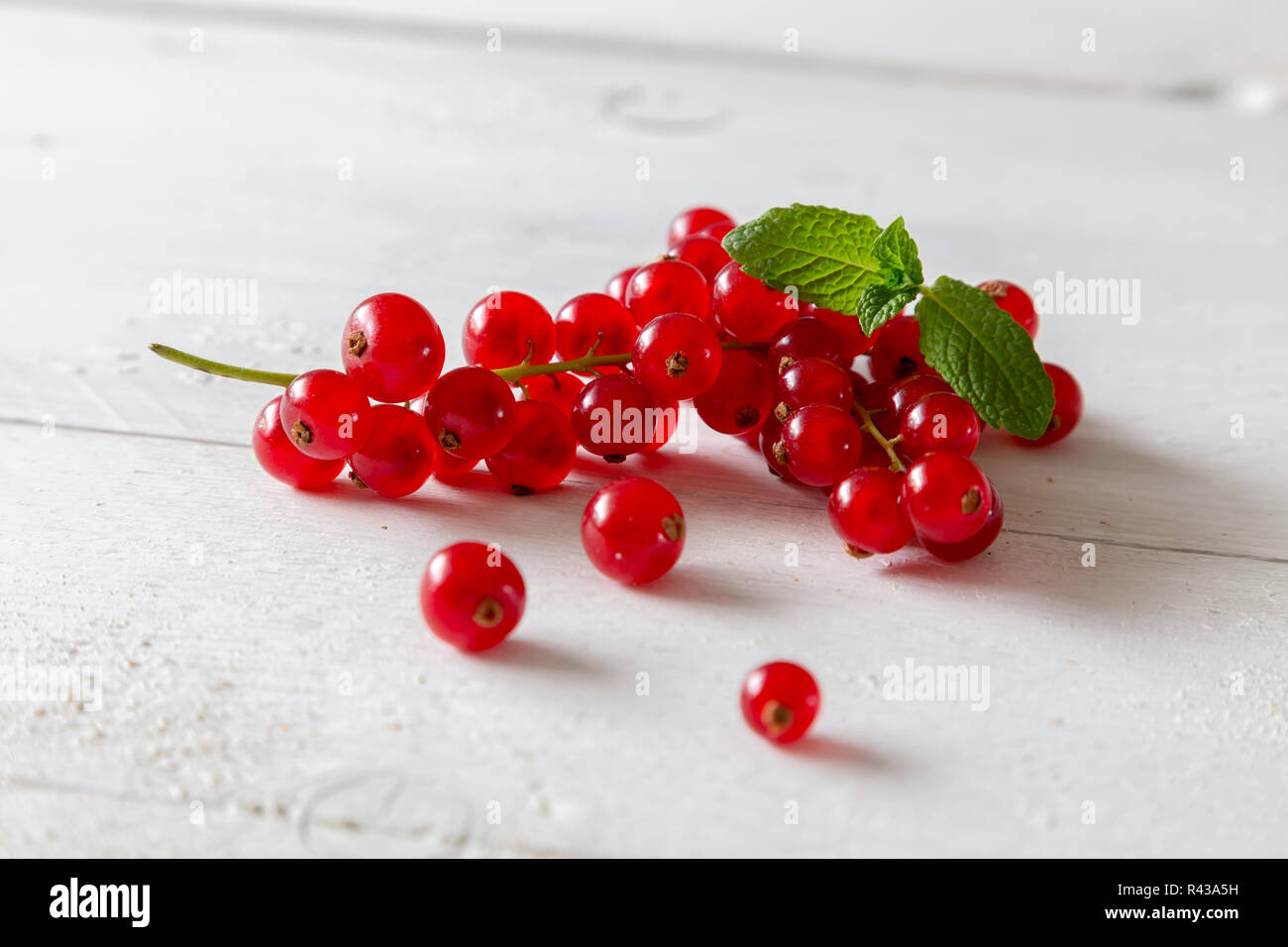 currant with mint leaf Stock Photo - Alamy