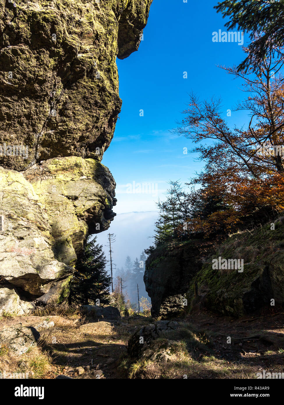 canyon on the waldspitze Stock Photo