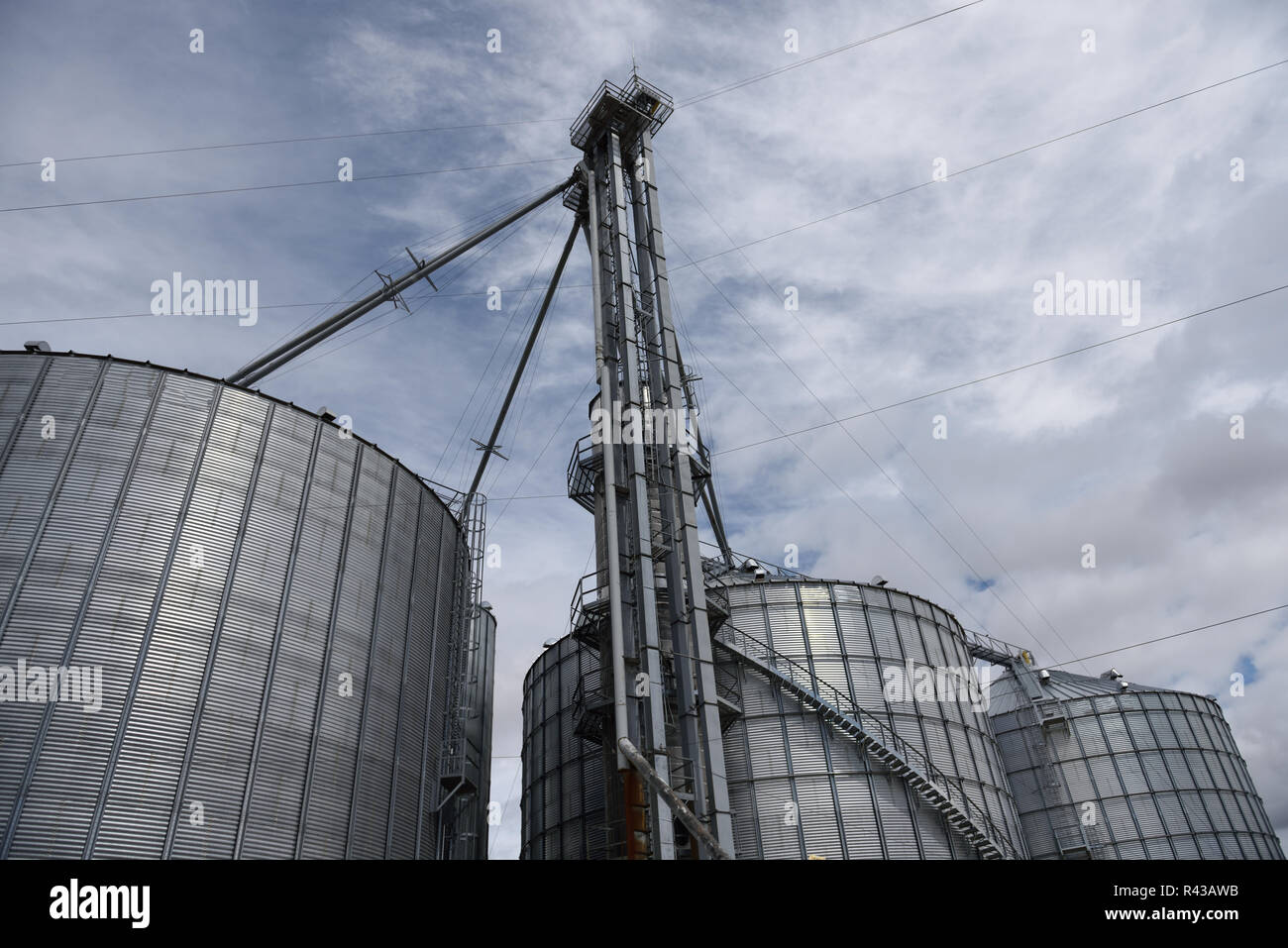 Several massive agricultural steel grain storage silos used for farming