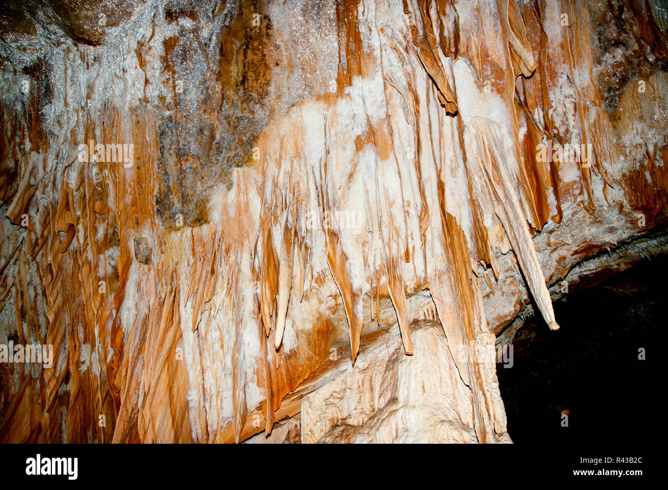 Bruny Island