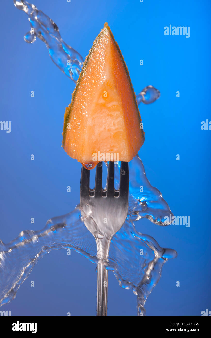 Melon fruit cantaloupe fork blue background splash Stock Photo Alamy