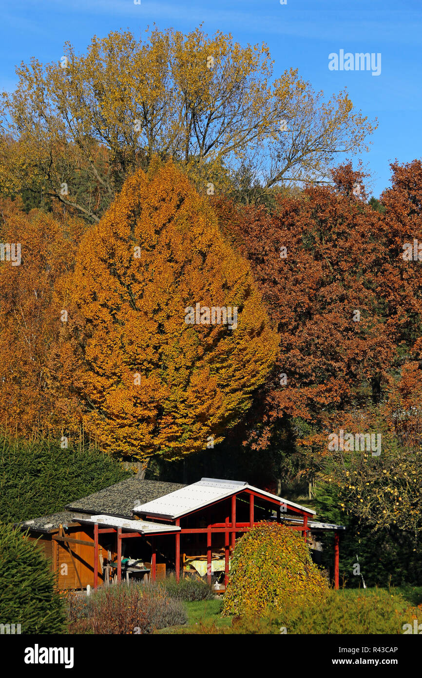 garden house in autumn Stock Photo