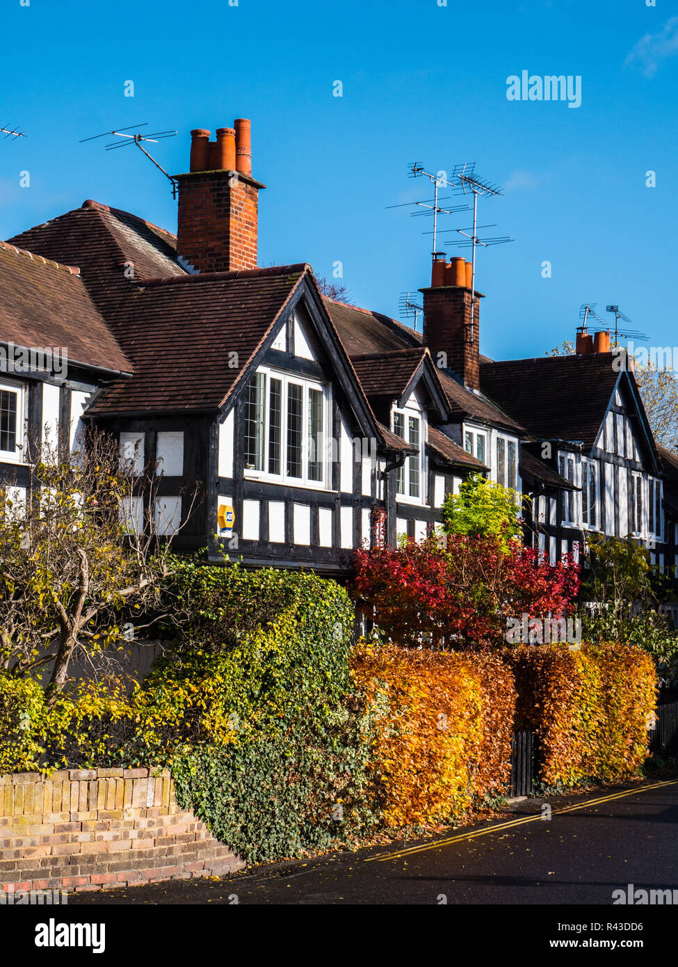 Traditional style Tudor Houses, Ferry Road, Bray, Maidenhead, England, UK, GB. Stock Photo