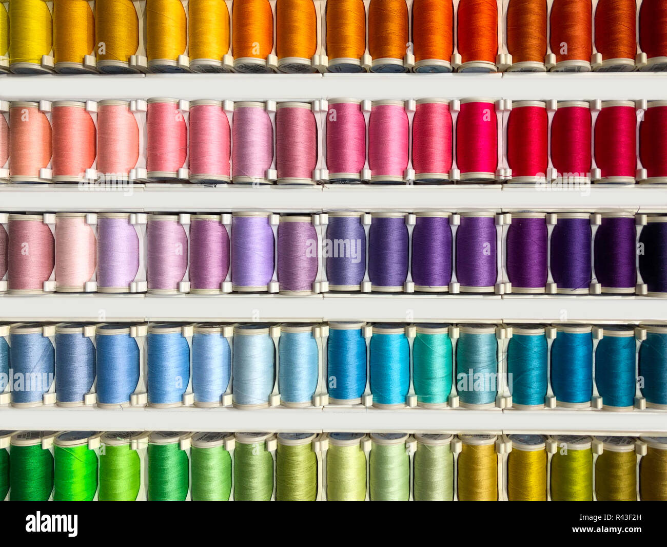 Sewing threads multicolored background closeup - fashion design Stock ...