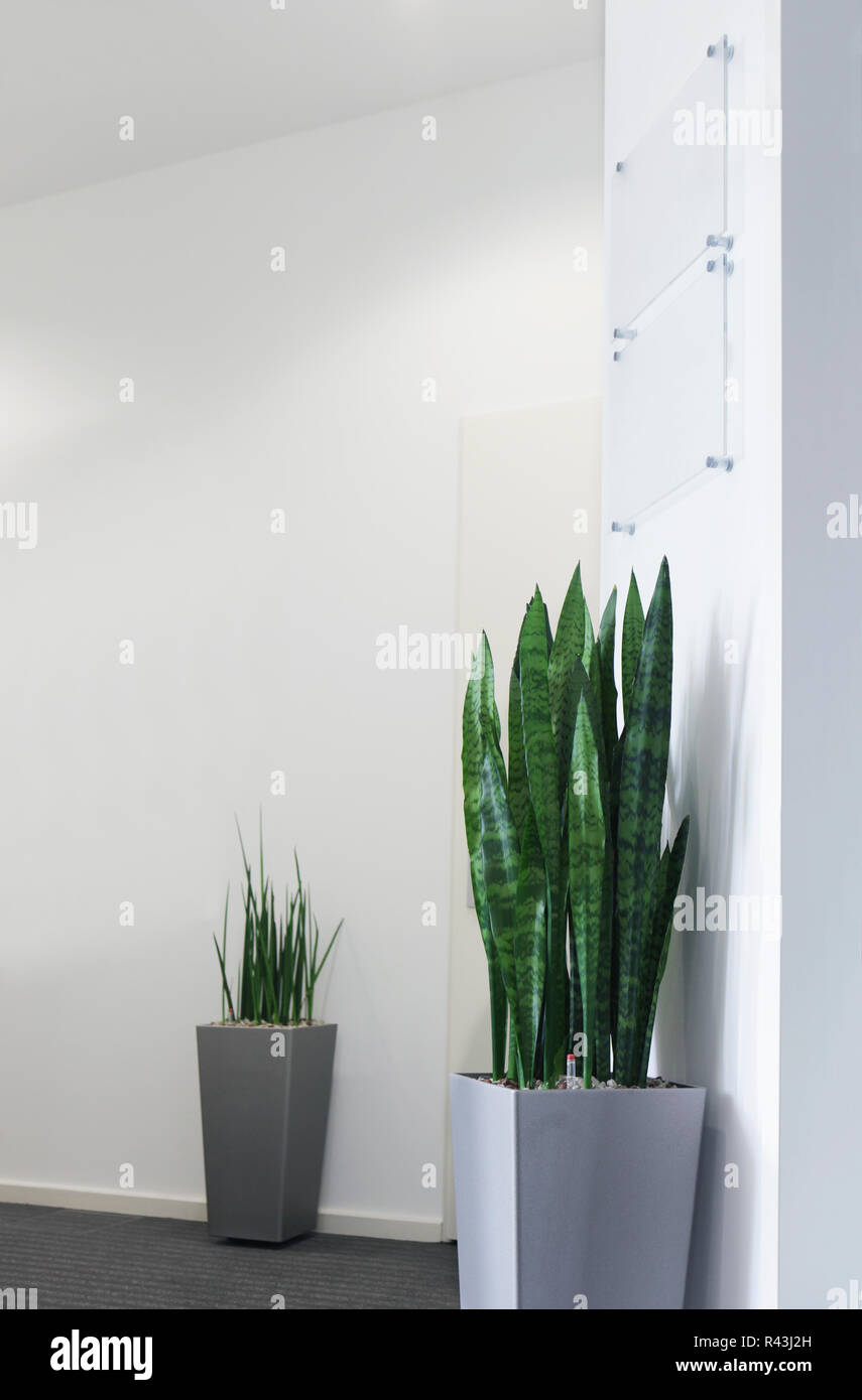 office sign with flowers Stock Photo - Alamy