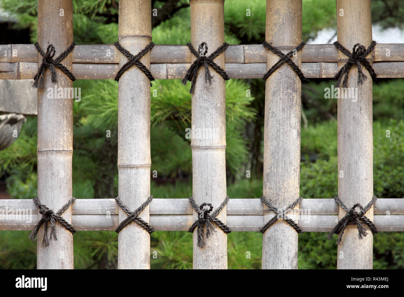 Bamboo fence in a Japanese garden Stock Photo Alamy
