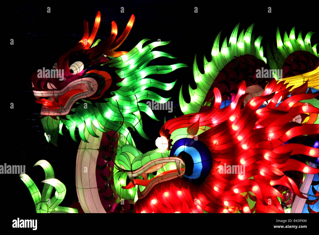 photo of beautiful illuminated chinese dragon lantern Stock Photo