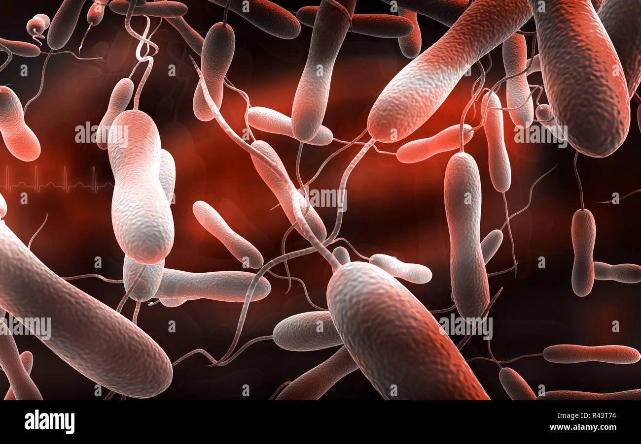 Cholera bacteria Stock Photo