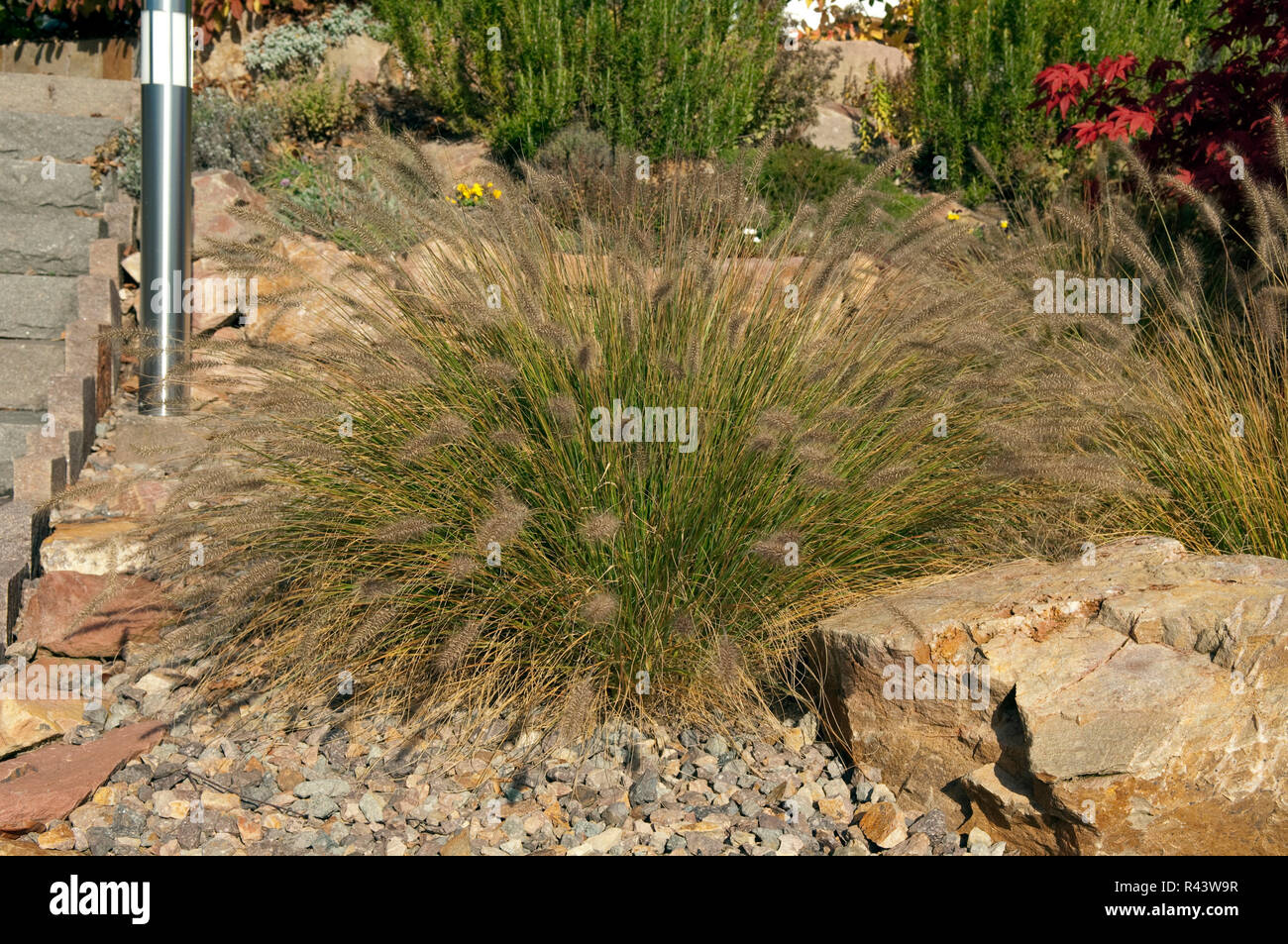 Rockery and green grass lawn hi-res stock photography and images - Alamy