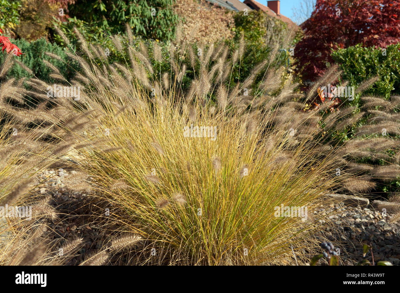 Rockery and green grass lawn hi-res stock photography and images - Alamy