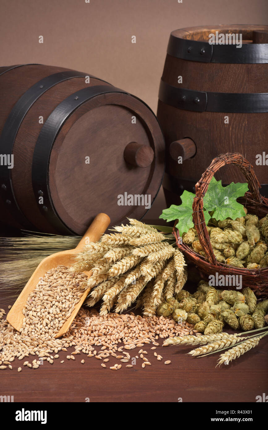 beer ingredients Stock Photo Alamy