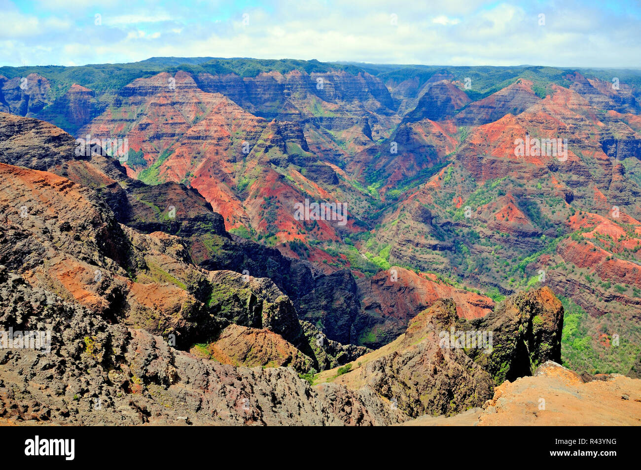 Colors of Nature in Hawaii Stock Photo - Alamy