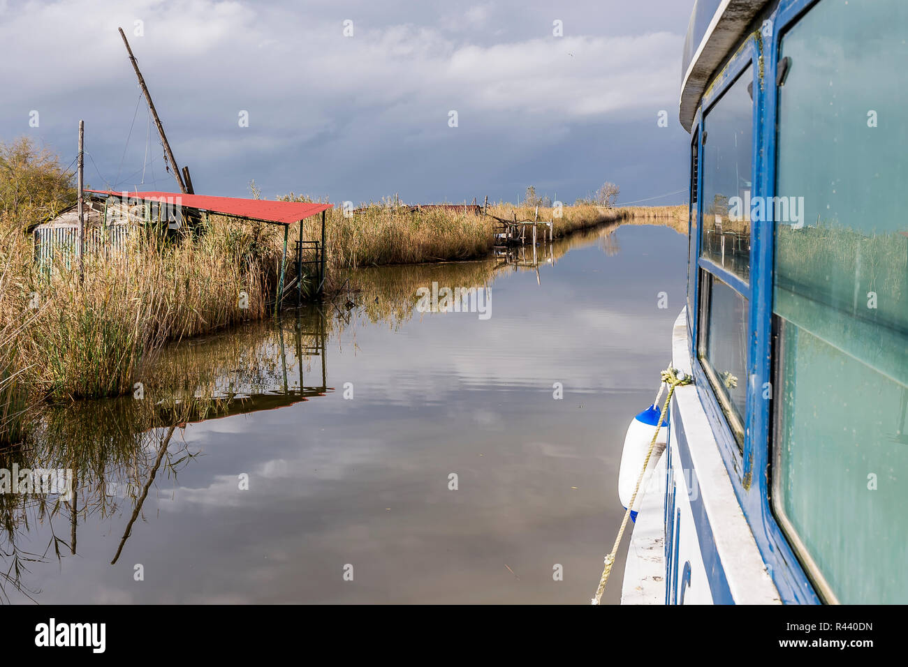 Oasis of lake massaciuccoli hi-res stock photography and images - Alamy