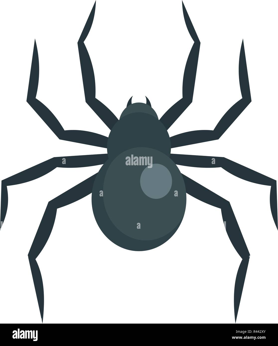 Black widow spider icon. Flat illustration of black widow spider vector icon for web isolated on white Stock Vector