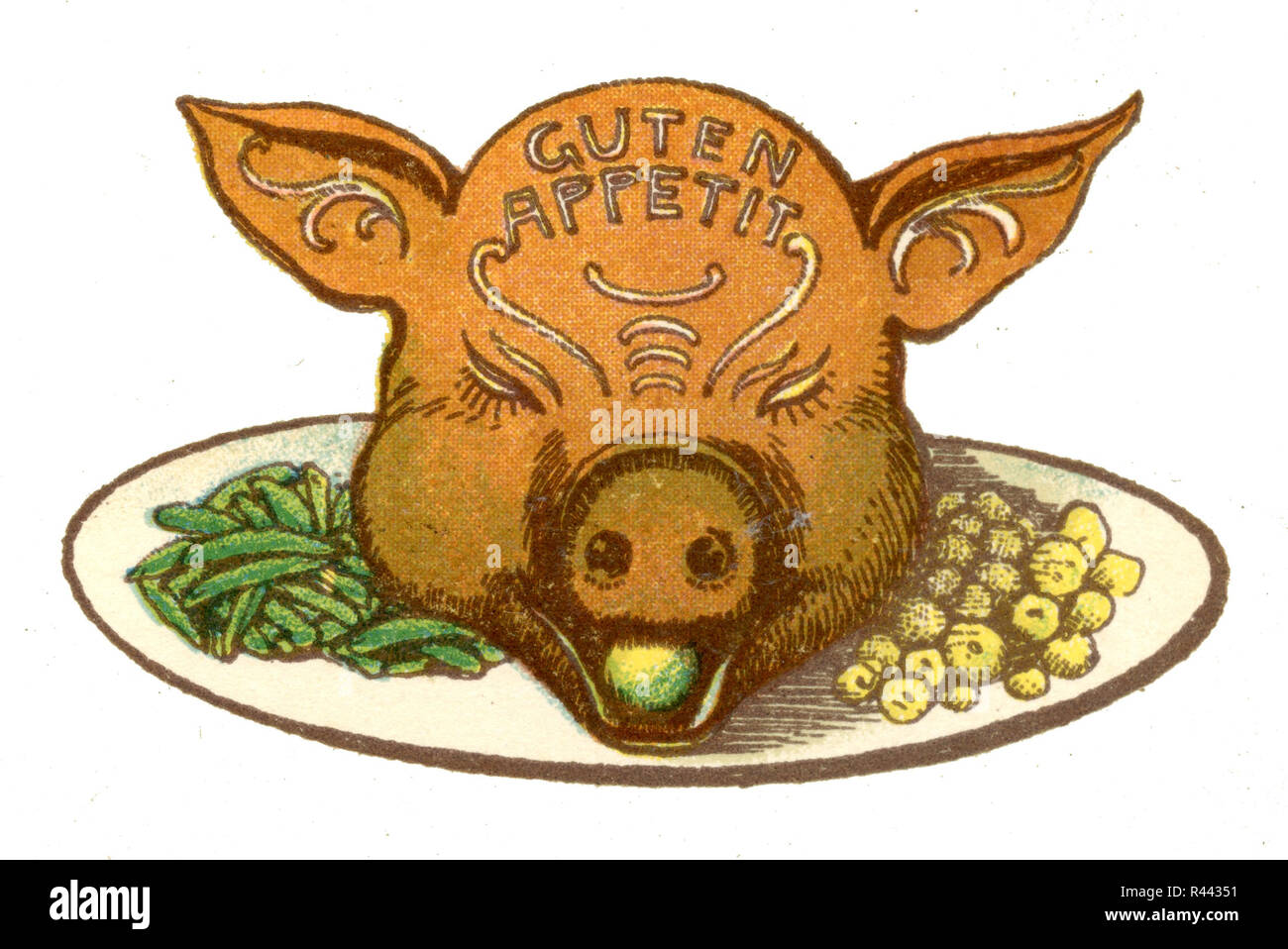 Figure cake pig's head, 1911 Stock Photo Alamy