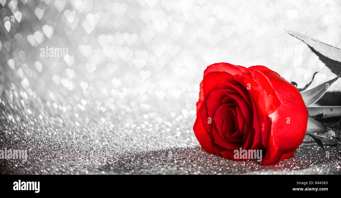 Beautiful red rose on heart shape bokeh glitter background Stock Photo