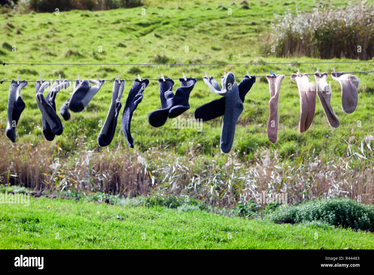 Clothesline with socks drying in the wind Stock Photo