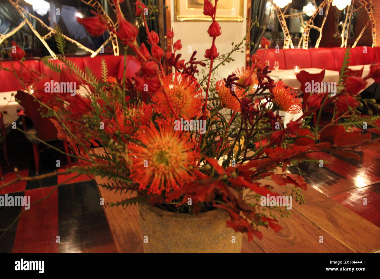 Beautiful red flowers hi-res stock photography and images - Alamy