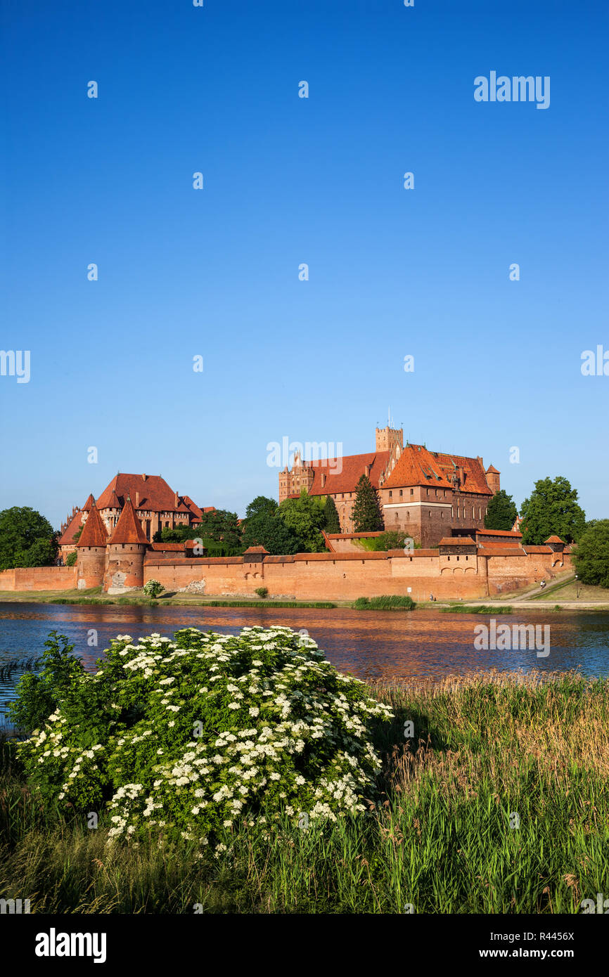 Malbork Castle in Poland, view across River Nogat, Order of the Teutonic Knights medieval fortress, dating back to the 13th century. Stock Photo