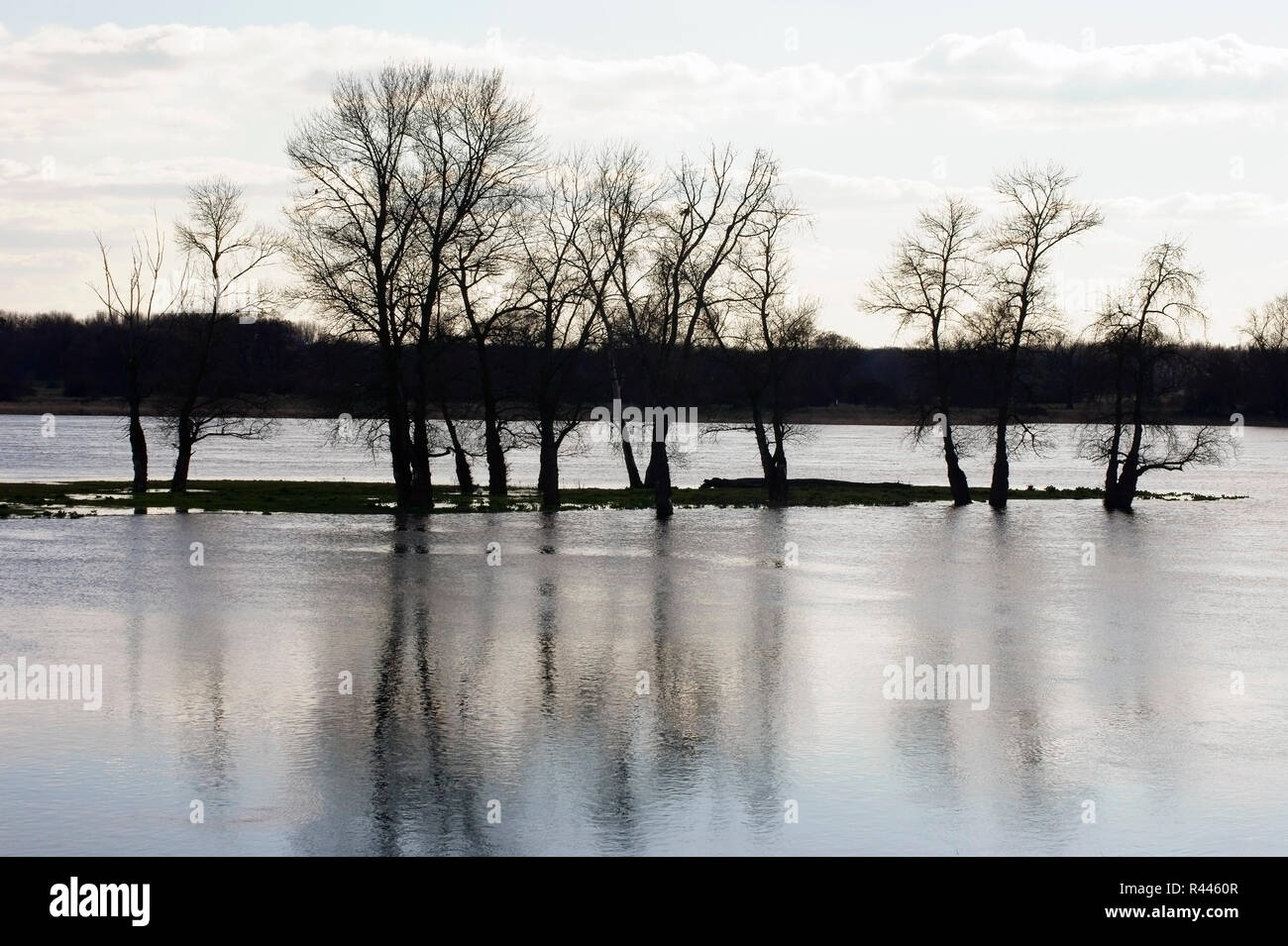 flood elbe Stock Photo