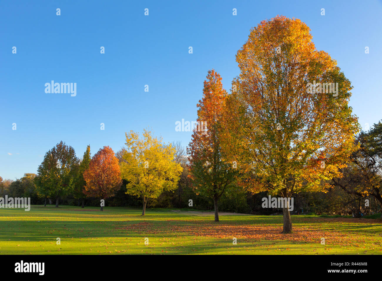 Shades of autumn hi-res stock photography and images - Alamy