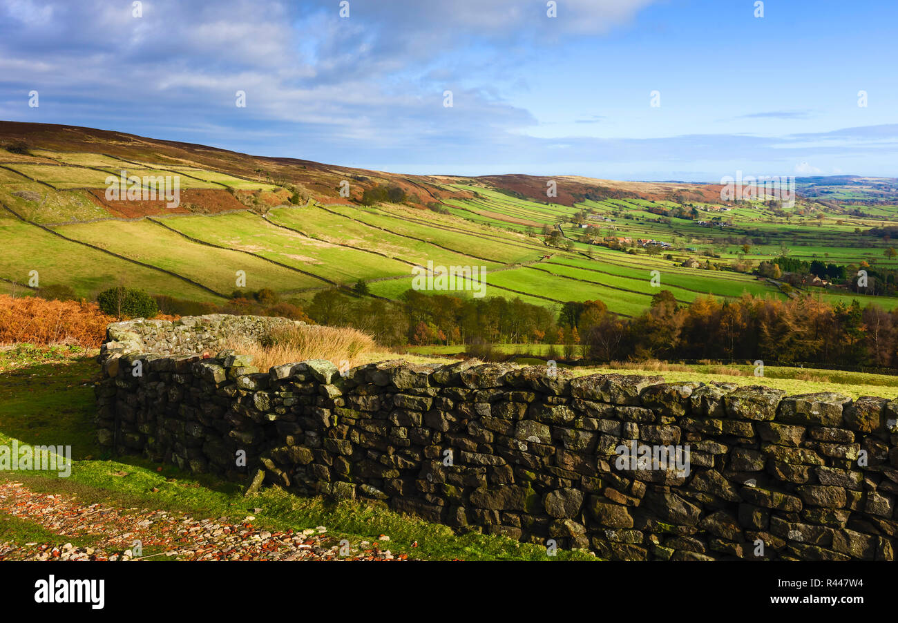 Dry stone wall overlooking agricultural landscape in deep valley bathed ...