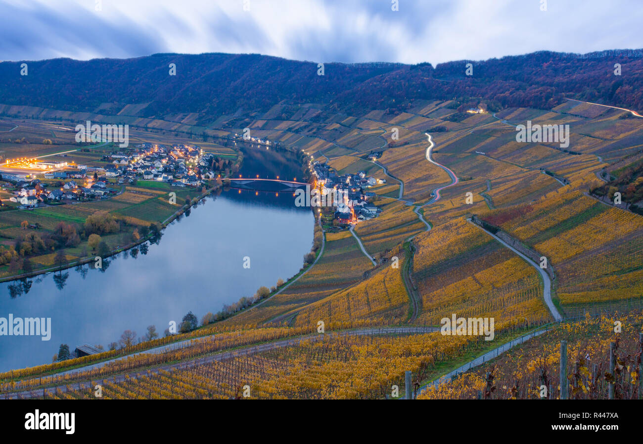 moselle and vineyards and piesport village in the golden autumn at dusk Stock Photo