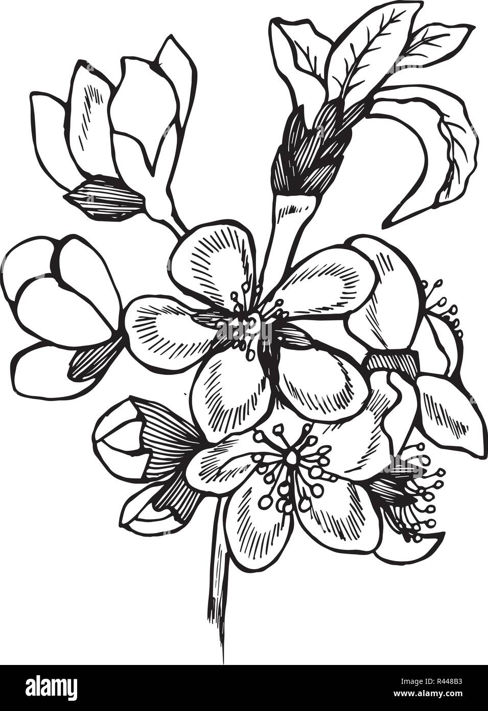 Japanese Flower Tattoo Hi Res Stock Photography And Images Page 10 Alamy