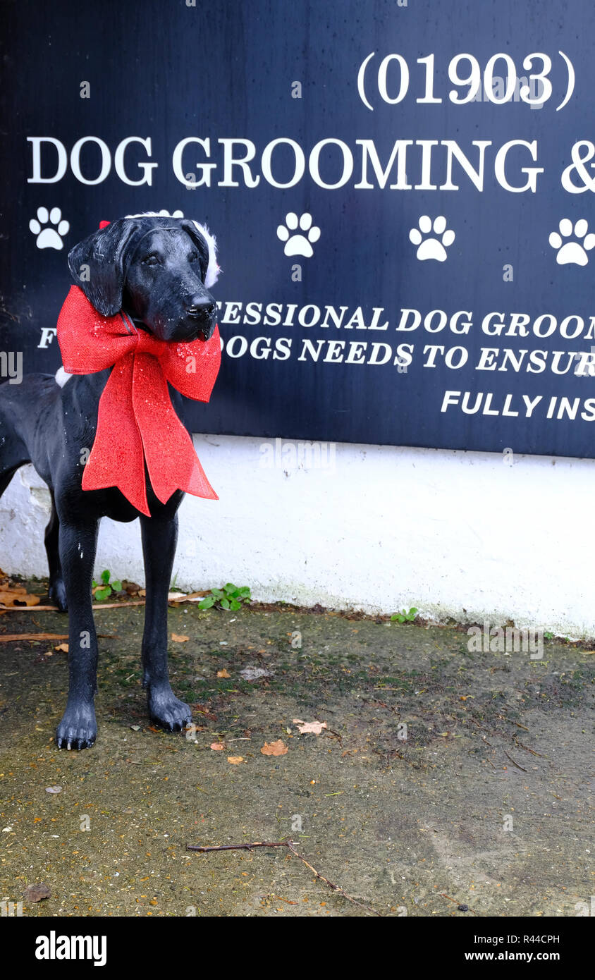 Model of dog dressed up in big red Christmas bow situated outside dog grooming parlour. Stock Photo