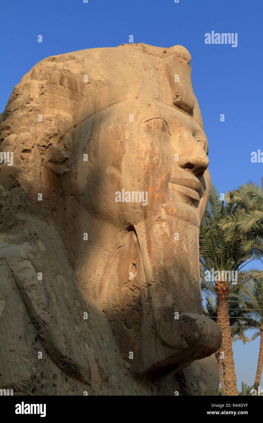 ramses statue in memphis egypt Stock Photo Alamy