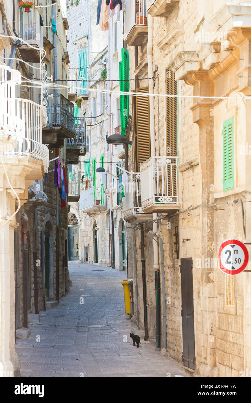 Molfetta, Apulia, Italy - A black cat tiptoeing through a historic alleyway in Molfetta Stock Photo