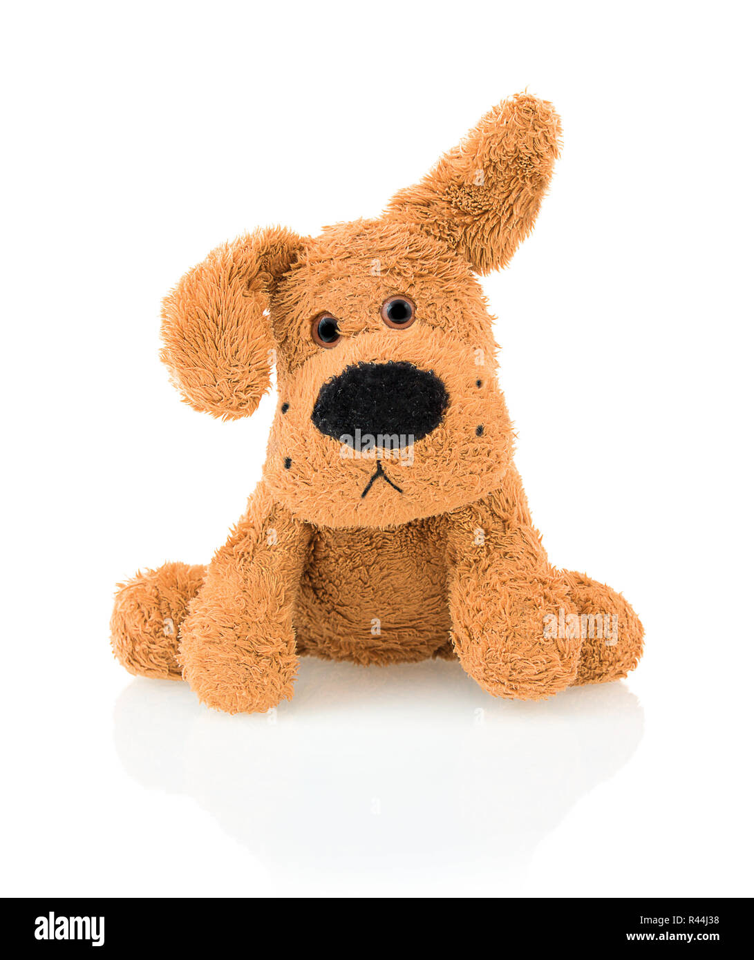 Cute dog doll isolated on white background with shadow reflection. Playful bright brown dog sitting on white underlay. Stock Photo