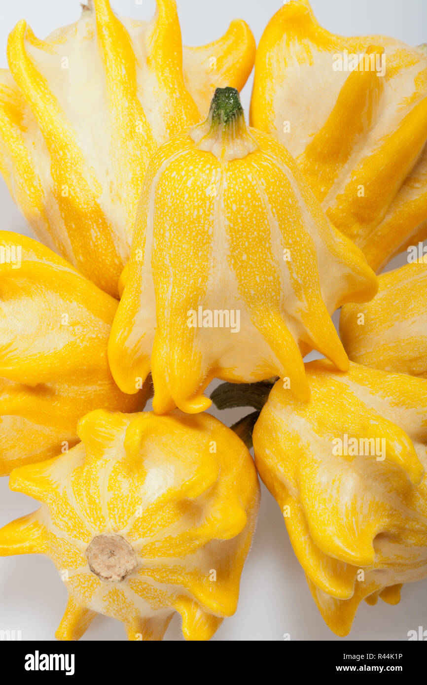 Decorative pumpkin isolated on white background Stock Photo - Alamy