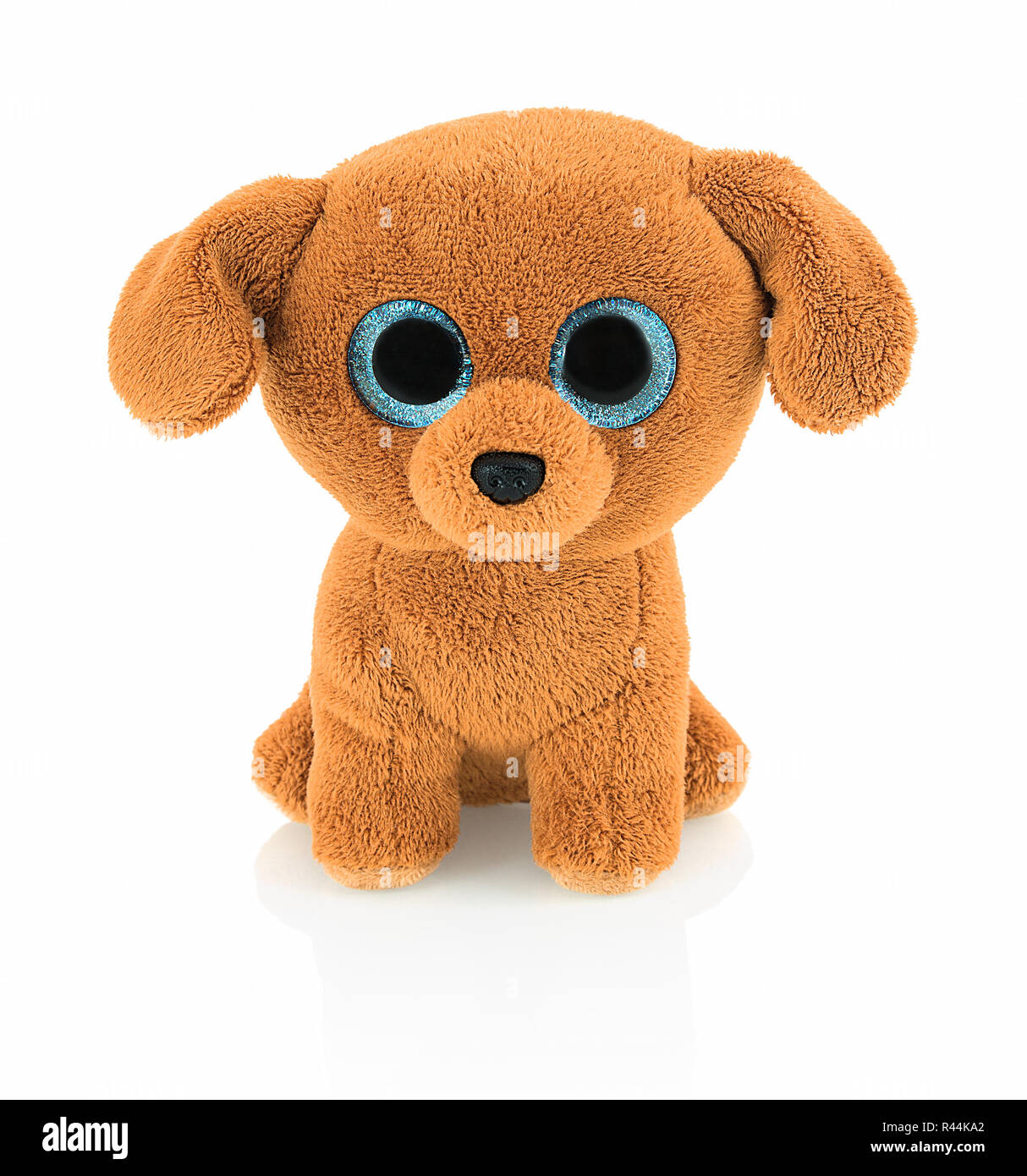Cute dog doll with blue eyes isolated on white background with shadow reflection. Playful bright brown dog toy sitting on white underlay Stock Photo Alamy