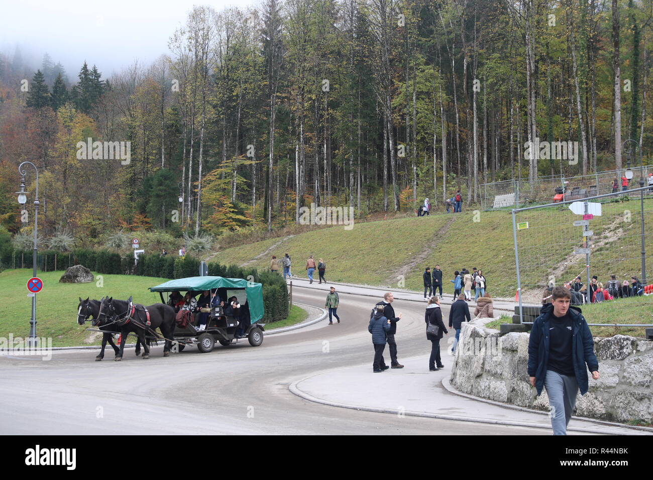 Neuschwanstein Castle Horse & Carriage trips, Munich Bavaria Germany Bavarian concept, things to do, tours, horses carriage ride, tourists exploring Stock Photo