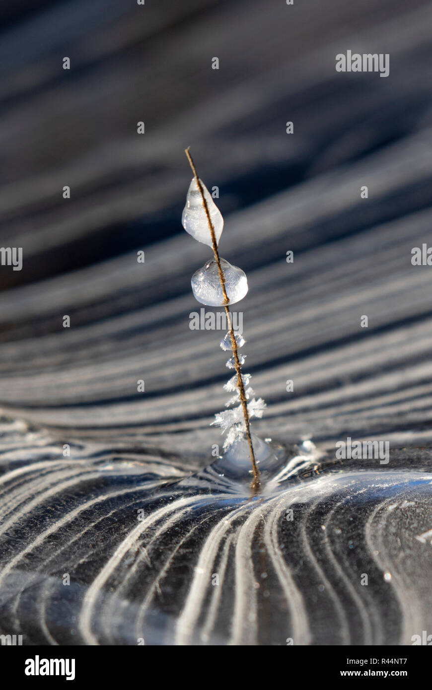 Small and big ice cube with water drops Stock Photo - Alamy