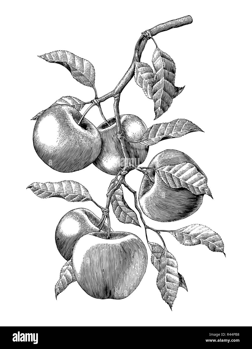 lorem ipsum shortcut mac sketch lorem ipsum shortcut mac sketch