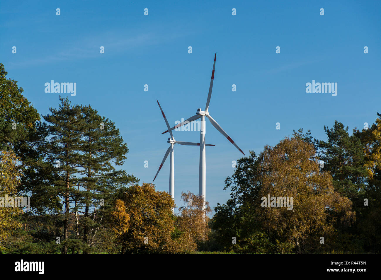 windmills in autumn Stock Photo