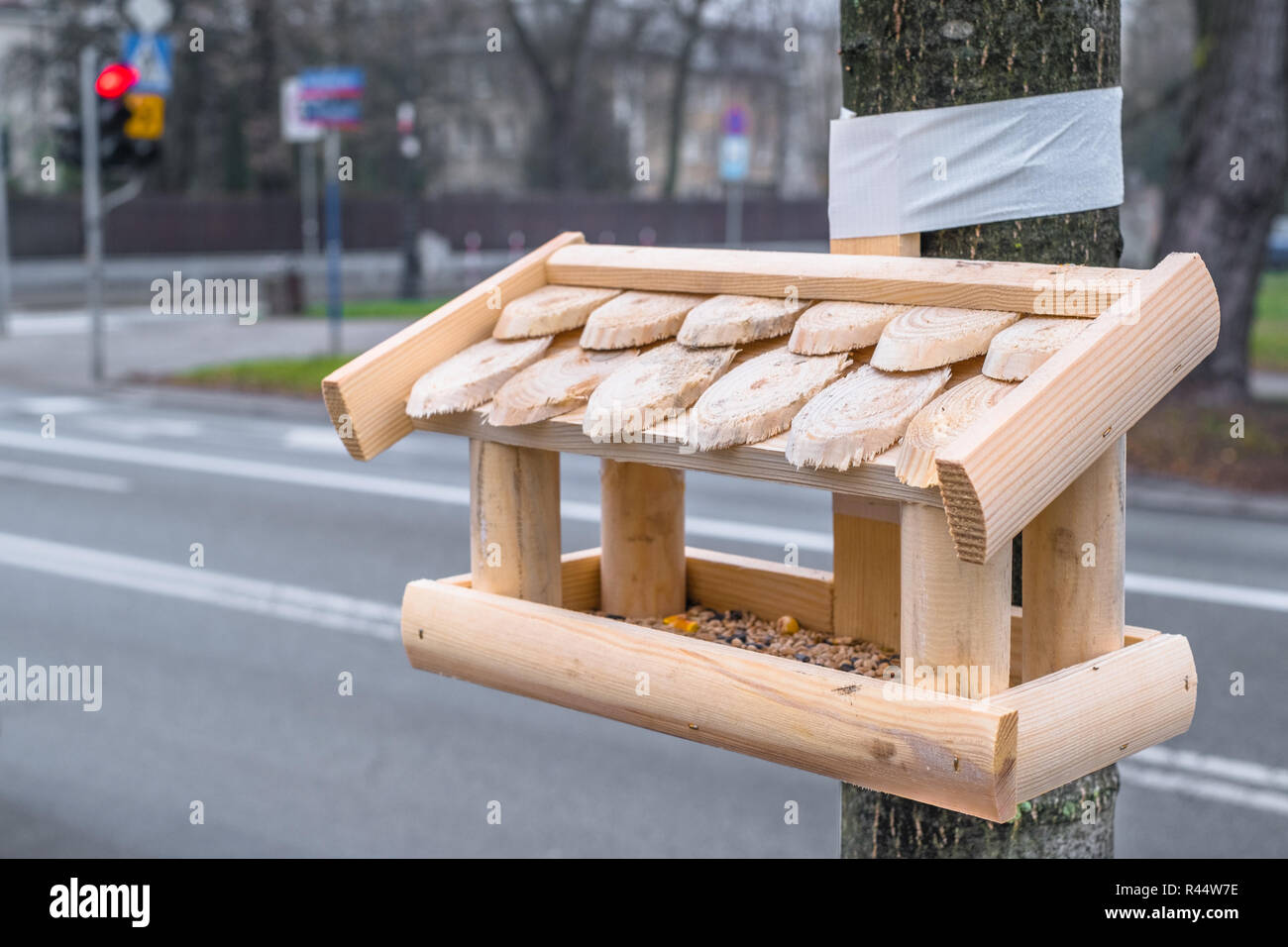 Birds feeding rises more and more controversies. Is it really good or