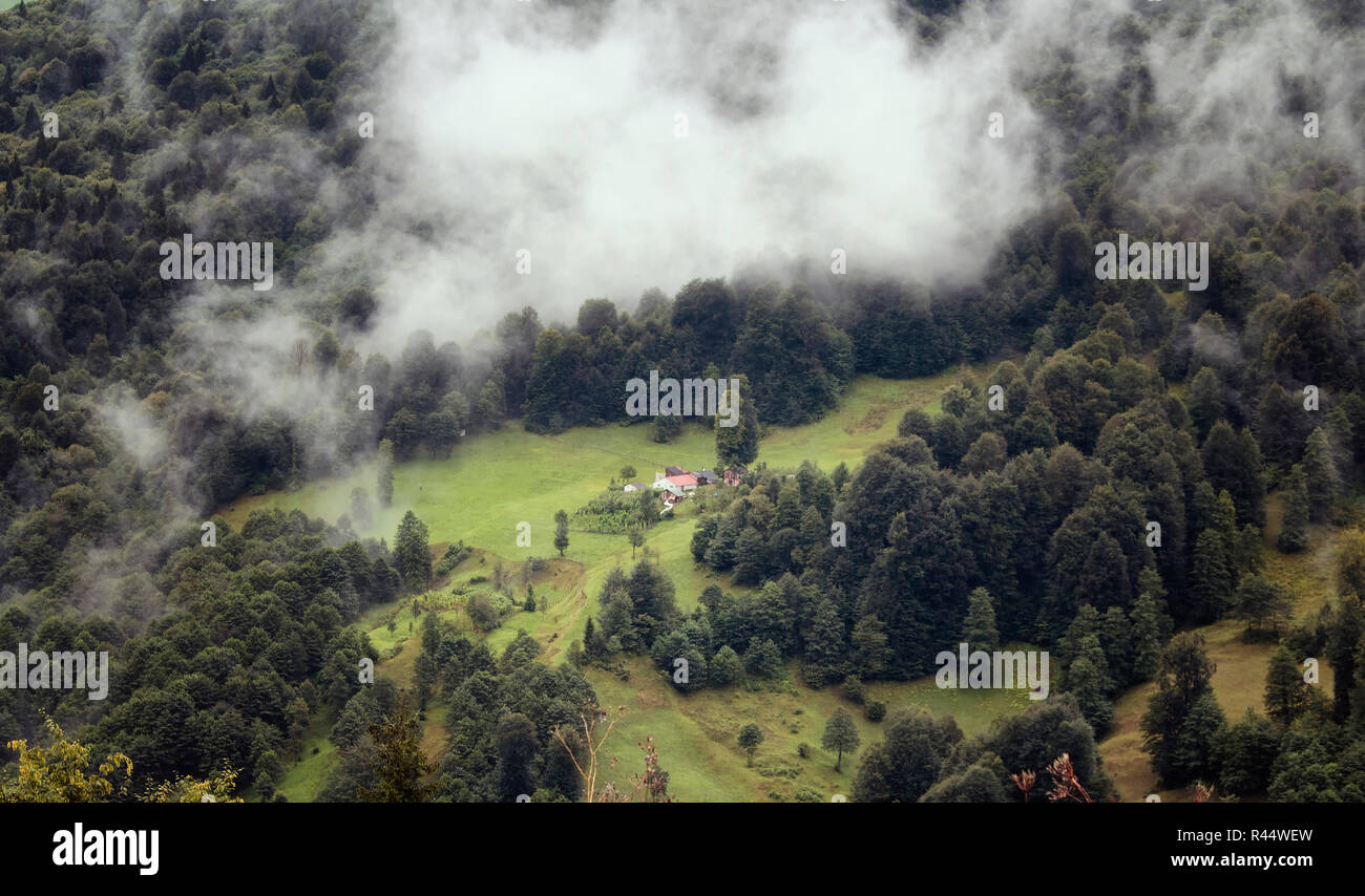 View of forest trees, mountain houses and beautiful nature in fog. The image is captured in Trabzon/Rize area of Black Sea region located at northeast Stock Photo