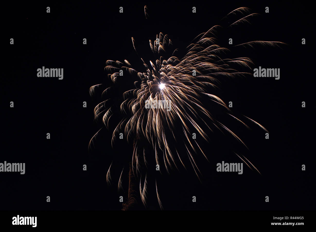 Beautiful firecrackers Stock Photo