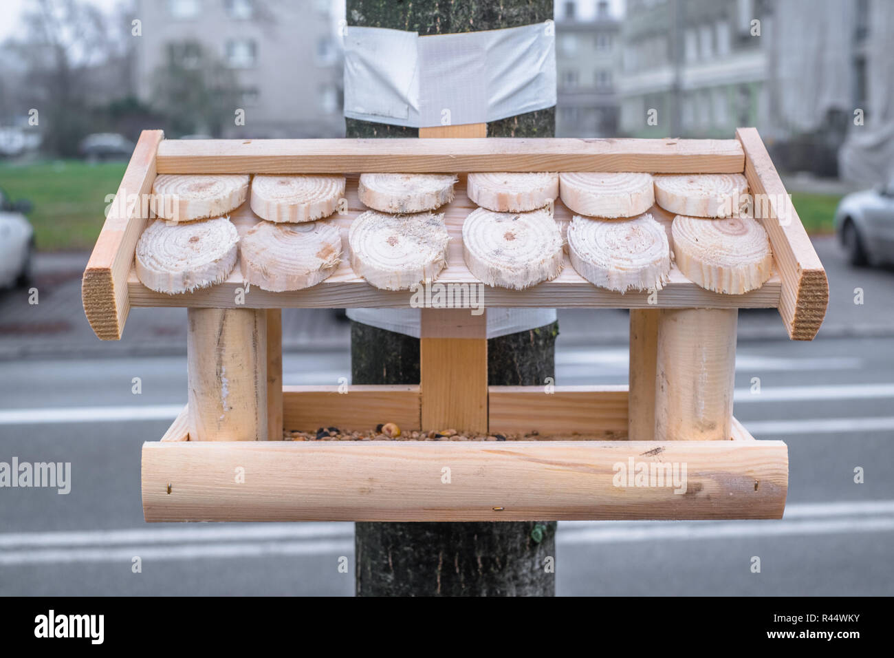 Birds feeding rises more and more controversies. Is it really good or