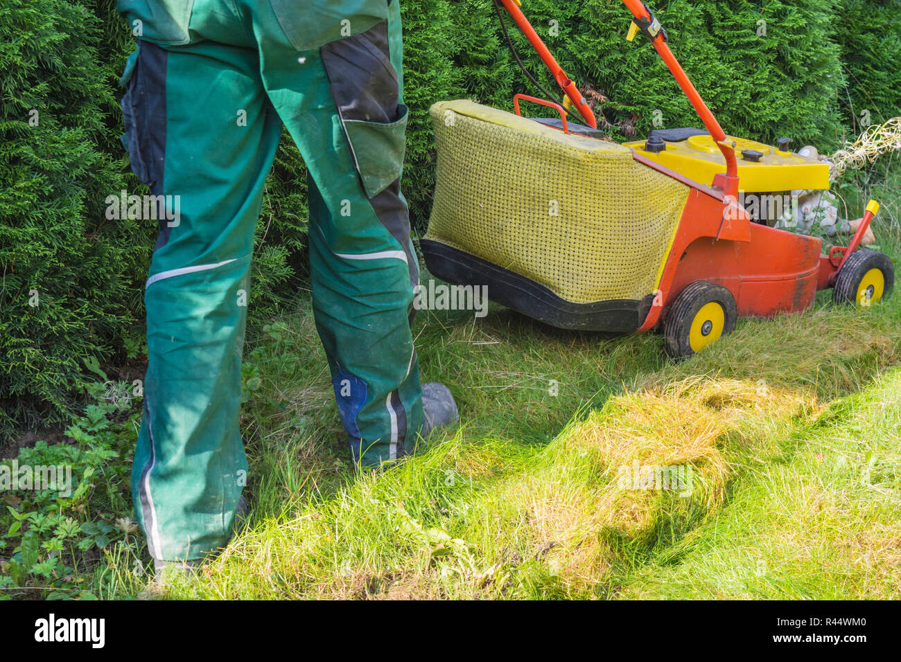 gardener mowing the lawn Stock Photo