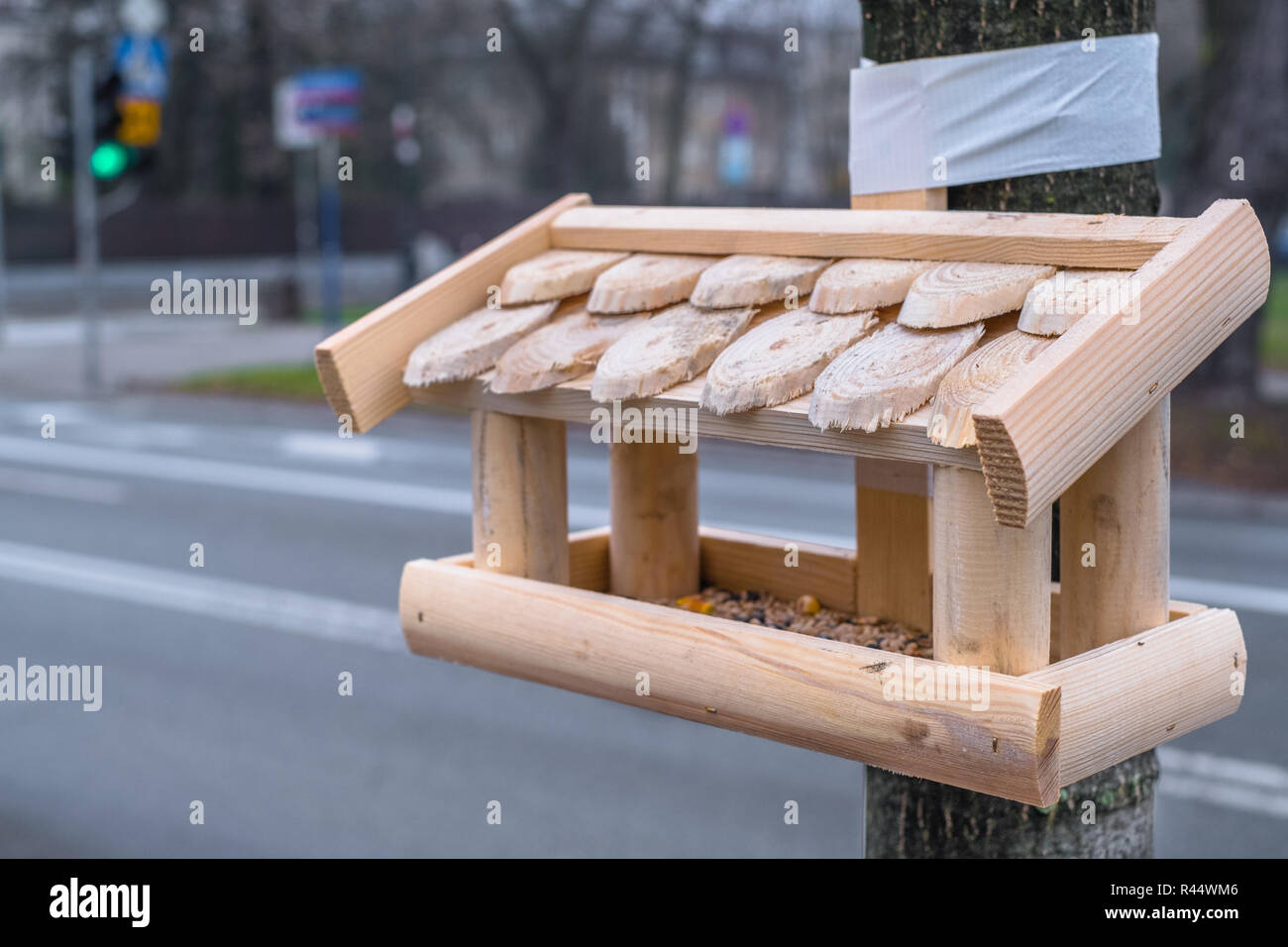 Birds feeding rises more and more controversies. Is it really good or