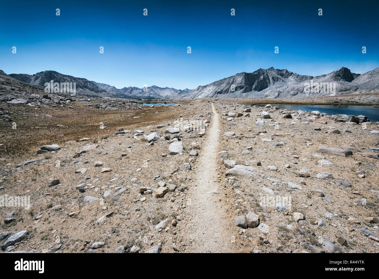 Hiking trail in the Sierra Nevada Mountains Stock Photo - Alamy