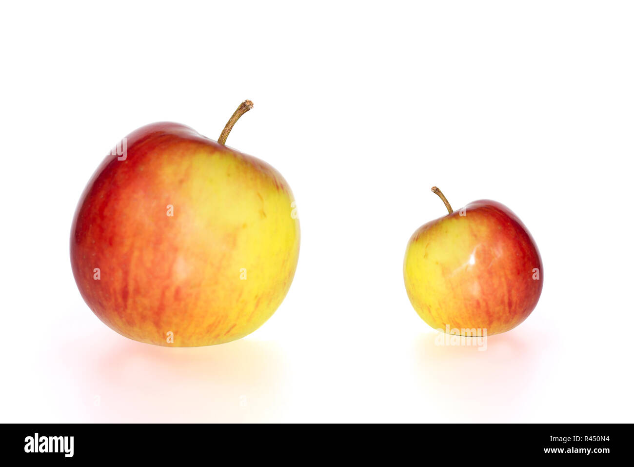 big and small juicy apples Stock Photo