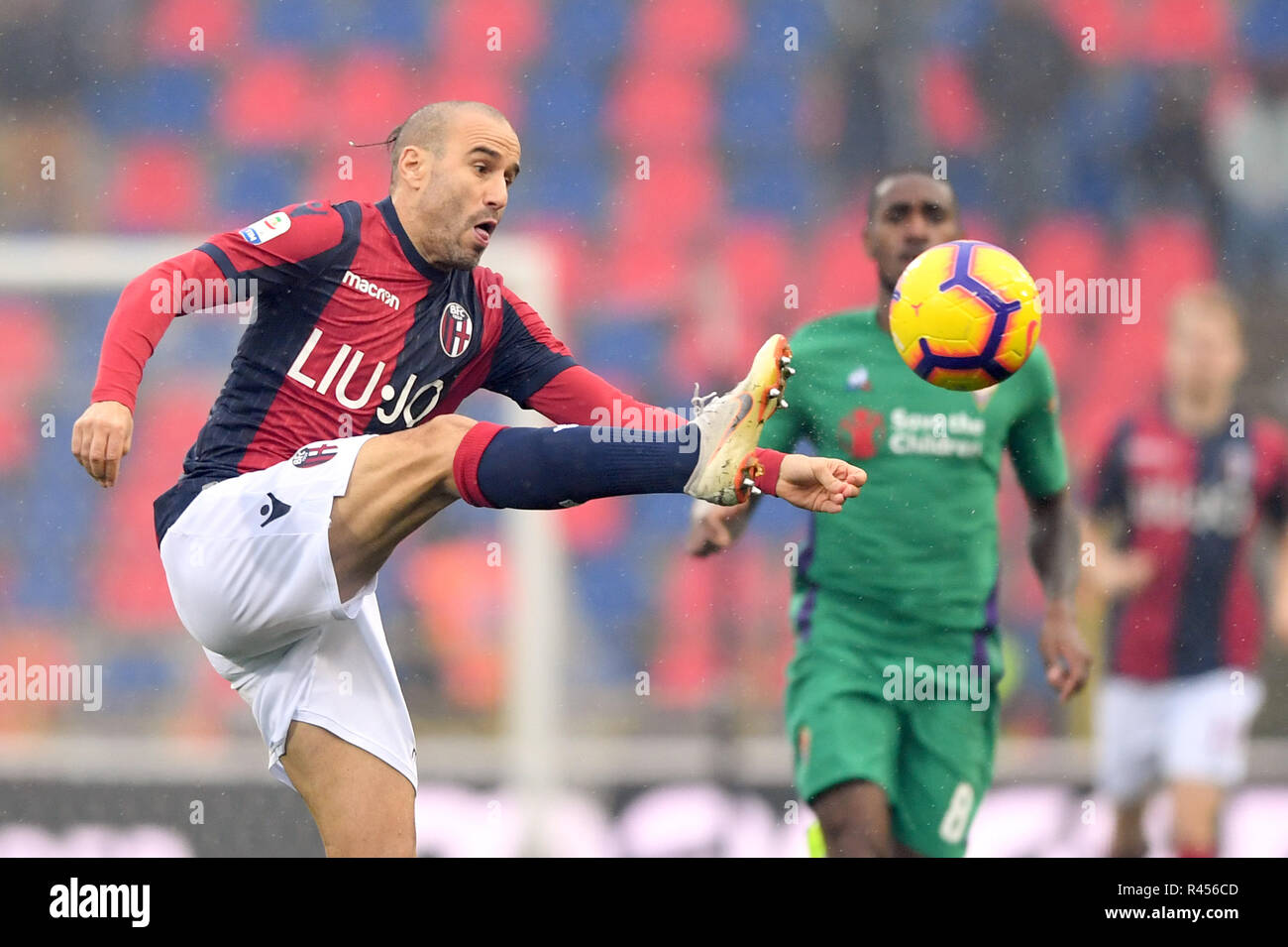 Bologna, Italy, 25 November 2018. Bologna, Italia sport calcio Bologna vs  Fiorentina - Campionato di calcio Serie A TIM 2018/2019 - stadio  &quot;Renato Dall'Ara&quot; Nella foto: Rodrigo Palacio (Bologna F.C.) in  azione